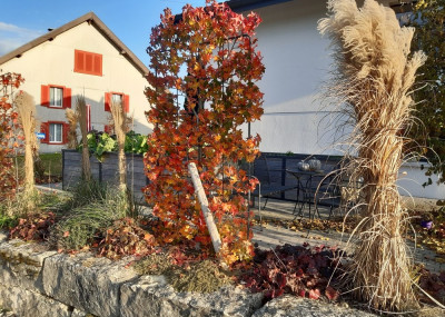 Gartenpflege_5-v2.jpg