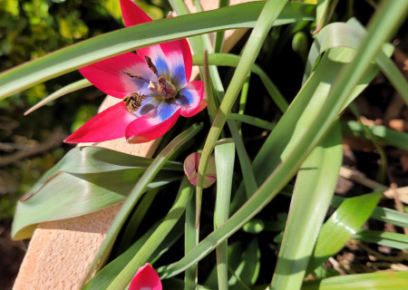 Frühlingsgefühle im Herbst!