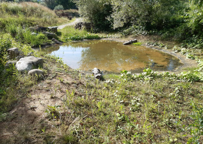 Referenzen-Naturgarten_15.jpeg
