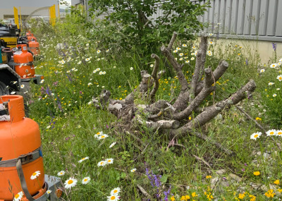 Referenzen-Naturgarten_21.jpeg