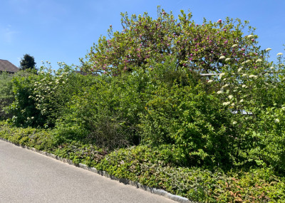 Referenzen-Naturgarten_34.jpeg
