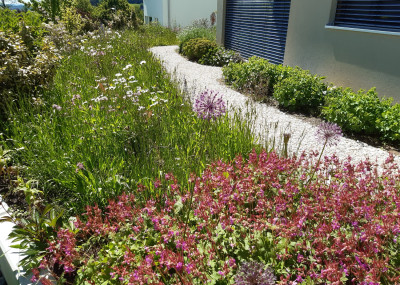 Referenzen-Naturgarten_5.jpeg