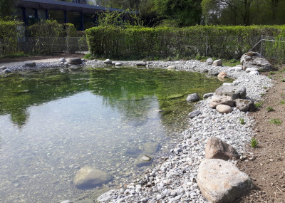 Referenzen-Wasser-im-Garten_1.jpeg